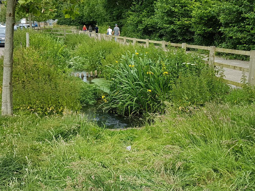 Streamside Apartments Yeovil Dış mekan fotoğraf